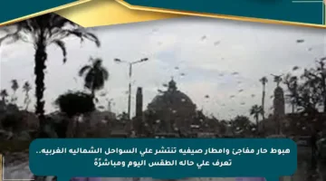 هبوط حار مفاجئ وأمطار صيفية تنتشر على السواحل الشمالية الغربية.. تعرف على حالة الطقس اليوم ومباشرًةً